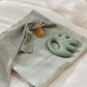 Bijtring met hydrofieldoek Leaves Ash Green Blad Groen Jollein